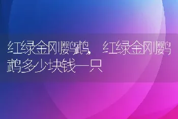 红绿金刚鹦鹉，红绿金刚鹦鹉多少块钱一只