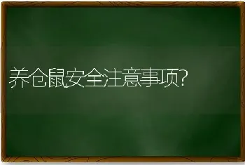 养仓鼠安全注意事项？