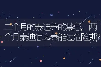 七星瓢虫的习性，七星瓢虫的特征和生活方式