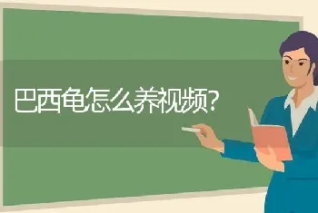 猫草怎么种植，猫草和猫薄荷猫咪吃了会出现什么反应，营养土能加什么东西进去当肥料？