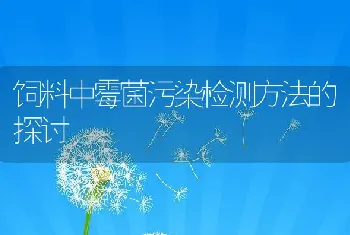 饲料中霉菌污染检测方法的探讨