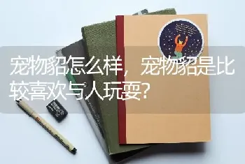 鹰嘴龟当宠物养犯法吗？