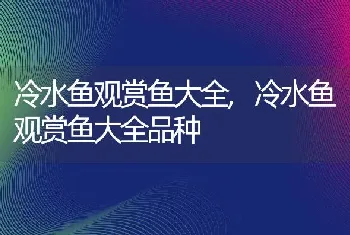 冷水鱼观赏鱼大全，冷水鱼观赏鱼大全品种