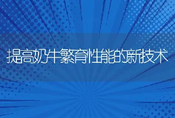 提高奶牛繁育性能的新技术