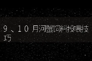 9、10月河蟹饲料投喂技巧