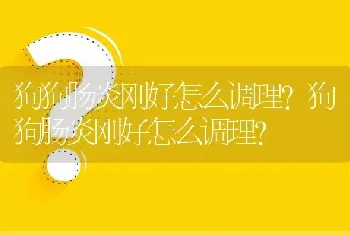 狗狗肠炎刚好怎么调理？狗狗肠炎刚好怎么调理？