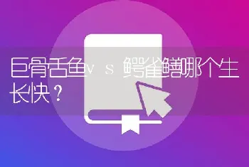 巨骨舌鱼vs鳄雀鳝哪个生长快？