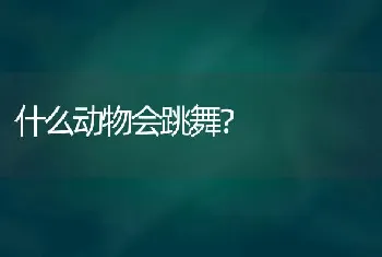 什么动物会跳舞？