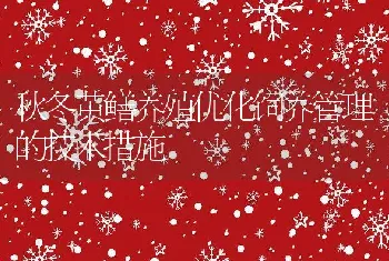 秋冬黄鳝养殖优化饲养管理的技术措施