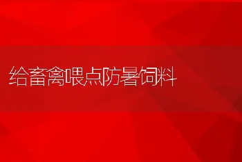 给畜禽喂点防暑饲料