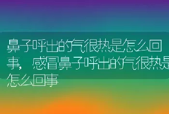 鼻子呼出的气很热是怎么回事，感冒鼻子呼出的气很热是怎么回事