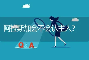 阿拉斯加会不会认主人？