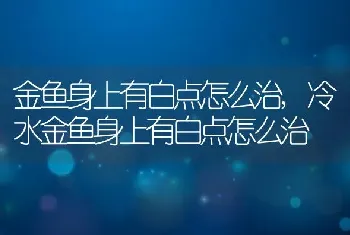 金鱼身上有白点怎么治，冷水金鱼身上有白点怎么治