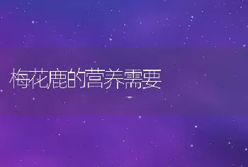 梅花鹿的营养需要