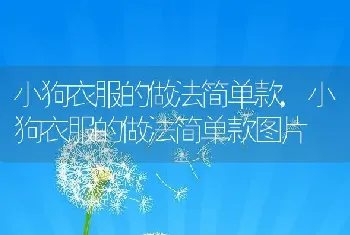 小狗衣服的做法简单款，小狗衣服的做法简单款图片