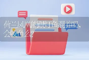 荷兰凤凰能跟灯鱼混养吗，会咬鱼么？