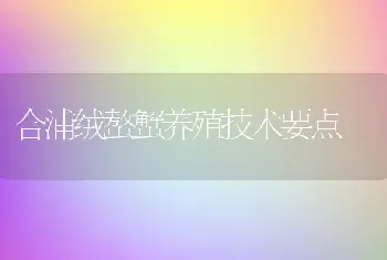 合浦绒螯蟹养殖技术要点