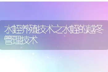 水蛭养殖技术之水蛭的越冬管理技术