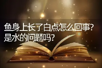 鱼身上长了白点怎么回事？是水的问题吗？