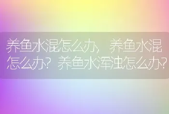 养鱼水混怎么办，养鱼水混怎么办？养鱼水浑浊怎么办？