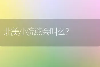 北美小浣熊会叫么？