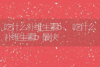 吃什么补维生素b，吃什么补维生素b最快