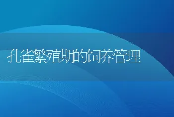 孔雀繁殖期的饲养管理