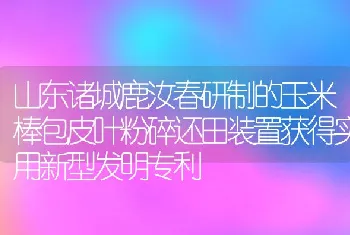 山东诸城鹿汝春研制的玉米棒包皮叶粉碎还田装置获得实用新型发明专利