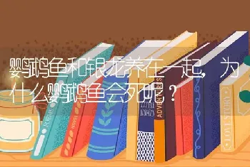 鹦鹉鱼和银龙养在一起，为什么鹦鹉鱼会死呢？