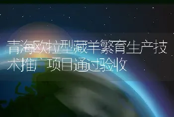 青海欧拉型藏羊繁育生产技术推广项目通过验收