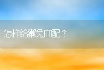 怎样给獭兔血配？