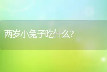 两岁小兔子吃什么？