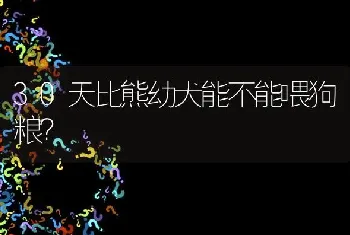 30天比熊幼犬能不能喂狗粮？