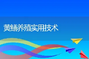 黄鳝养殖实用技术