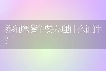 养殖鹰嘴龟要办理什么证件？