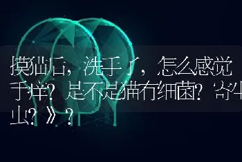 摸猫后，洗手了，怎么感觉手痒?是不是猫有细菌?寄生虫?》？