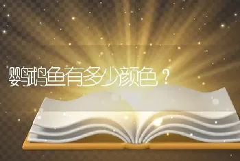 鹦鹉鱼有多少颜色？