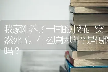 我家刚养了一周的小猫。突然死了。什么原因啊？是传腹吗？