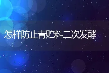 怎样防止青贮料二次发酵