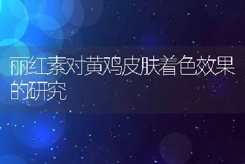 丽红素对黄鸡皮肤着色效果的研究