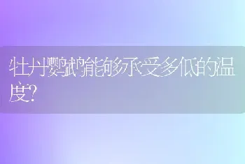 牡丹鹦鹉能够承受多低的温度？