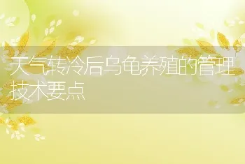 天气转冷后乌龟养殖的管理技术要点