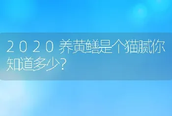 2020养黄鳝是个猫腻你知道多少？