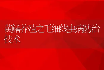 黄鳝养殖之毛细线虫病防治技术