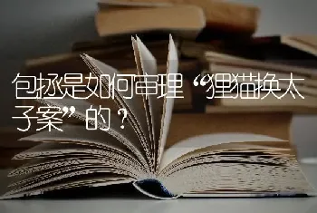 包拯是如何审理“狸猫换太子案”的？