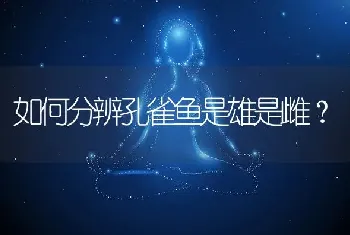 如何分辨孔雀鱼是雄是雌？