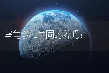 乌龟能和鱼同时养吗？