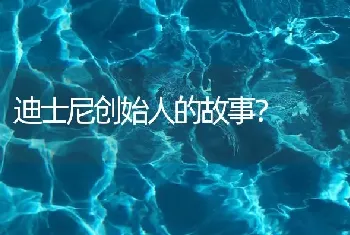 迪士尼创始人的故事？