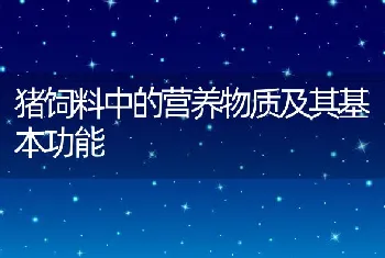 池塘甲鱼仿生态养殖技术