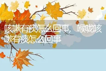 咳嗽有痰怎么回事，喉咙咳嗽有痰怎么回事